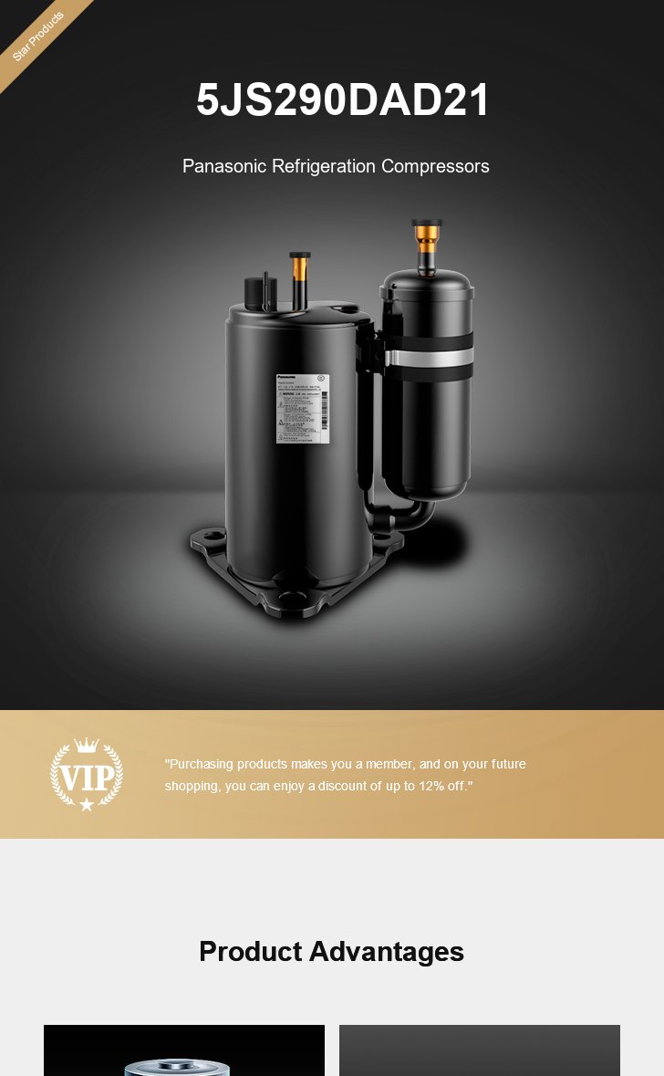 Panasonic Compressor 5JS290DAD21, technical parameters pdf, structure diagram